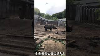 【多摩動物公園】多摩動物公園に行ってきたよぉ