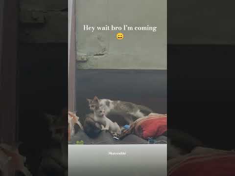 One subscribe #please ☺️#viralvideos #trendingvideo