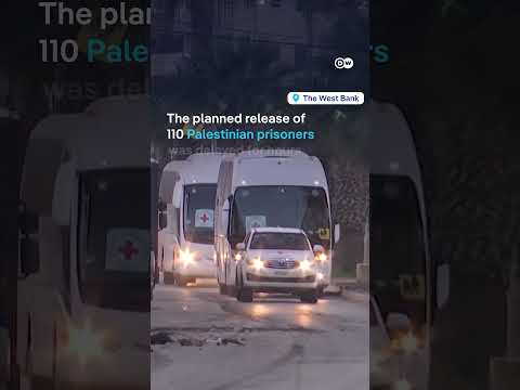 Thai nationals among eight hostages released by Hamas | DW News
