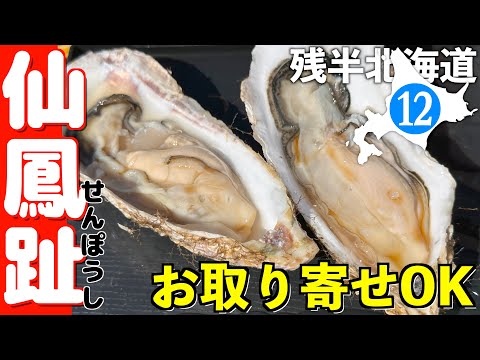 野生のラッコと仙鳳趾のうますぎる牡蠣【残半北海道】軽トラ車中泊⑫