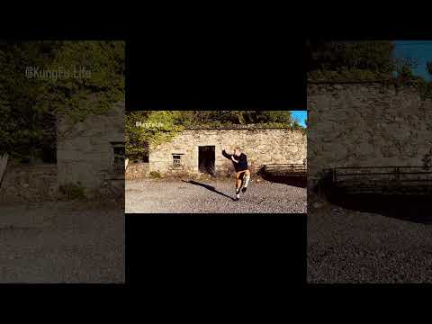 Shaolin Five Stance Fist - Wu Bu Quan ( 五步拳 ） #kungfulife #kungfu #shaolinkungfu #shifuyanxin #少林功夫