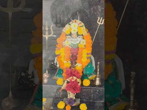 🙏🚩🌺||श्रीपाद वल्लभ दिगंबरा || दिगंबरा दिगंबरा श्रीपाद वल्लभ दिगंबरा ||