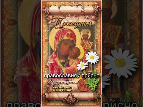 24 июля Ржевская (Оковецкая) икона Божией Матери (1539г)