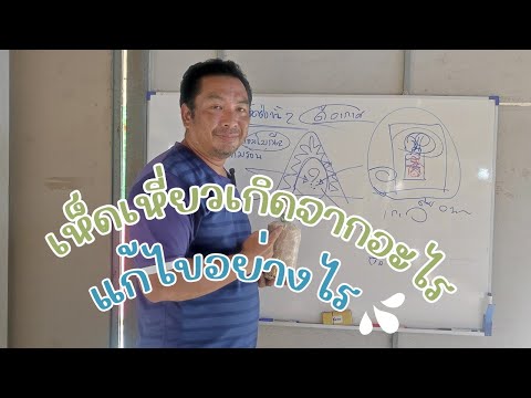 เห็ดเหี่ยวเห็ดไม่โตเกิดจากอะไร