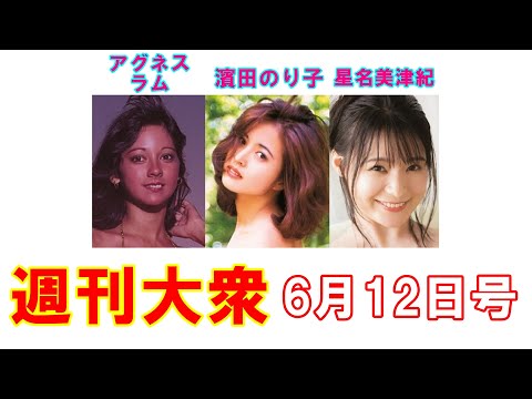 アグネス・ラム「夏カレンダー＆特大ピンナップ」【濱田のり子、星名美津紀】