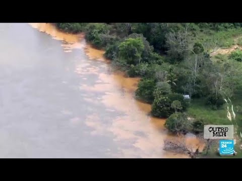 Guyane : la biodiversité du fleuve Maroni mise en danger par l'orpaillage • FRANCE 24