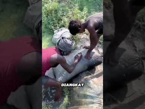 cara unik orang india membuat cemilan super lezat#faktaunik #shrots