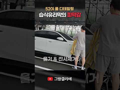 습식유리막 너무 좋아요.. 520i 하얀 차량도 느껴지는 이 피막감.. 너무 좋습니다ㅠㅠ #shorts #carwash #cardetailing