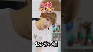 【未公開映像】センラさんとうちの子が絡んで大喜びの天月　#天月 #センラ  #猫 #料理 #shorts