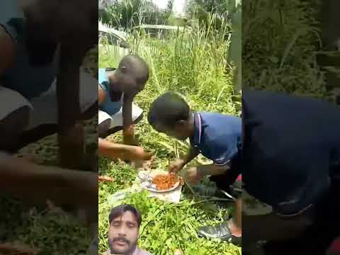 seany #funny video #comedymovies #harekfriendkaminahotahai