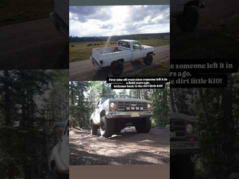 Keeping the Squarebody ALIVE!