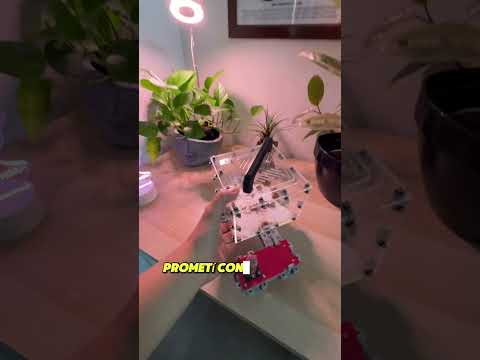 Vamos a por Anthouse! #shorts #viral