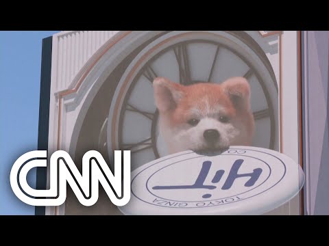 Outdoor de cachorro 3D gigante chama atenção em Tóquio | EXPRESSO CNN