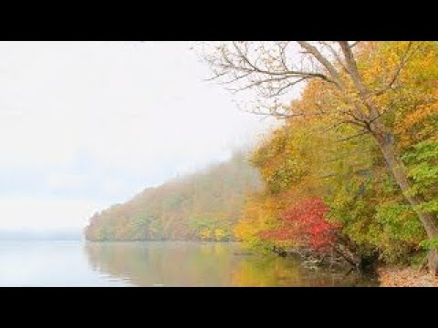 Meditation Music 1 Hour Series ③ - for relaxing for calming for soothing