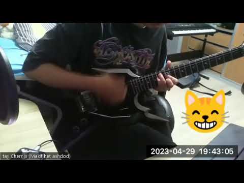 Can't Stop Red Hot Chili Peppers Cover THE BEST VERSION