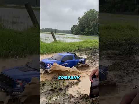 He Deserves a Reward for This Video!#shortsvideo