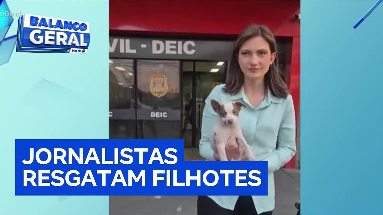 Repórteres da RECORD resgatam cachorros e disponibilizam filhotes para adoção
