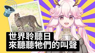 【0718 世界聆聽日】聽過獵豹或無尾熊的叫聲嗎？沒聽過的話和龍一起聽看看 | 高維爾來聽動物叫聲 #台灣Vtuber