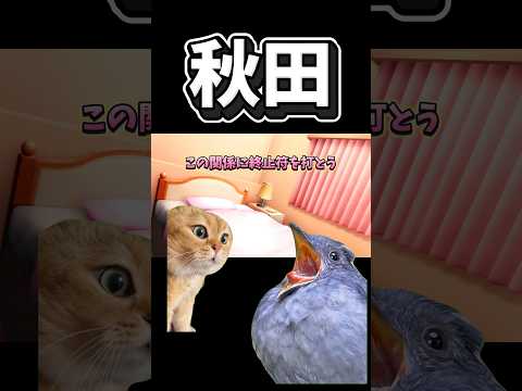 【猫ミーム】秋田