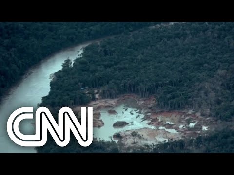 Reino Unido anuncia investimento em projeto na Amazônia | EXPRESSO CNN