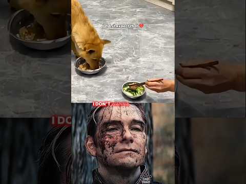 Dog sad moment 😢💔 (Didn't expect) #shortvideo #shortsfeed #dog #shorts #short