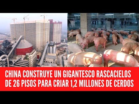 CHINA CONSTRUYE UN GIGANTESCO RASCACIELOS DE 26 PISOS PARA CRIAR 1,2 MILLONES DE CERDOS