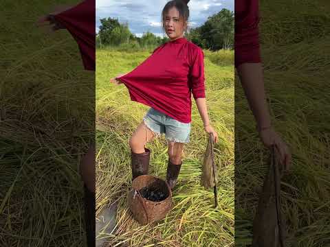 ป่ะกลับบ้านกัน #fish #ปลาข่อน #ปลาหมอนา