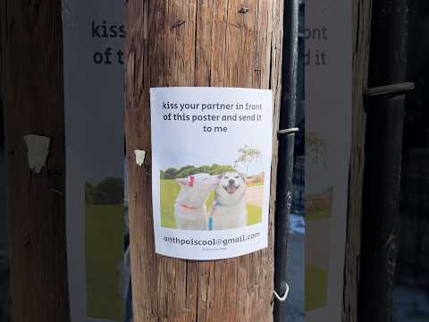 I hung up 10 of these posters