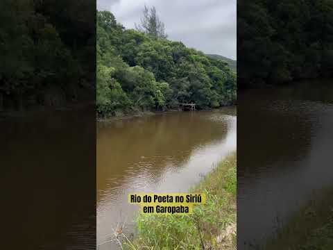 Rio do Poeta no Siriú em Garopaba