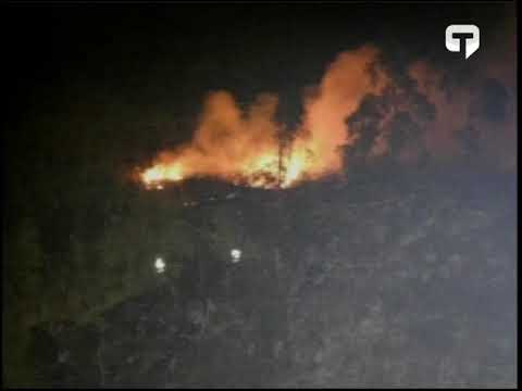 Incendios forestales afectaron áreas naturales y bosques