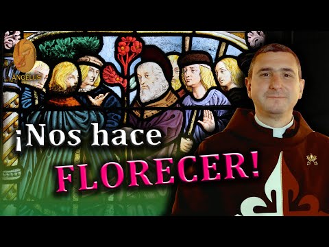 ¡MARÍA nos hace FLORECER! | P. José B. Flórez - ÁNGELUS (10-oct-22)