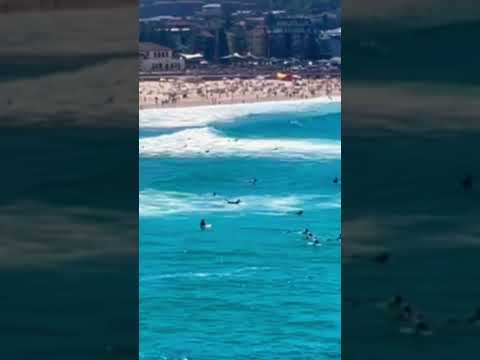 Pacific okean Sydney Bondi najpopularnija plaza na svetu #viralvideo