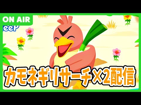 【ポケモンスリープ】サマフェスラストリサーチ＆振り返り！【生放送】