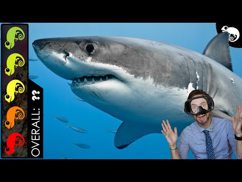 Great White Shark, The Best Pet Fish? ✅ Support our channel by getting Fishing Clash on your iOS/Android device for free https_//fishing
