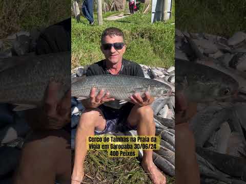 Cerco de Tainhas na Praia da Vigia em Garopaba 30/06/24 - 400 Peixes