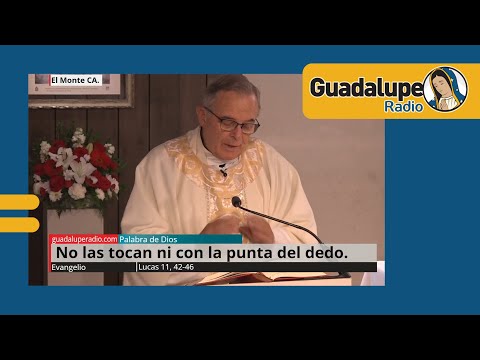 Evangelio de hoy 16/octubre/2024