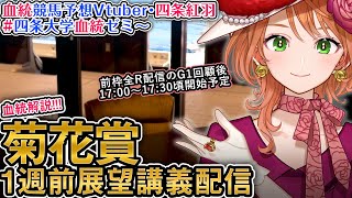 G1 菊花賞 2025 1週前展望配信 四条大学血統ゼミ【血統競馬予想Vtuber】