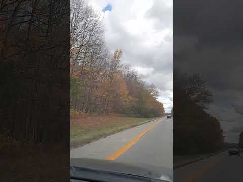 mùa Thu ở Mỹ 2025