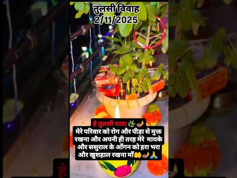 तुलसी विवाह 2 नवंबर2025#YouTube shorts#YouTube status#Tulsi Vivah#viral video#trending#shorts#reel