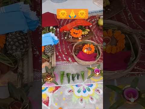 🙏जय छठी मईया 🙏#petshub #youtubeshortsviral#festival #trending#viral#chattpuja#bhojpuri#lshortsfeed#