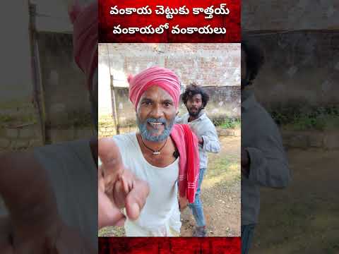 వంకాయలొ వంకాయలు #comedy #trendingvideo #viralvideo #viralcomedy #palleramulu #funny #shorts #fun