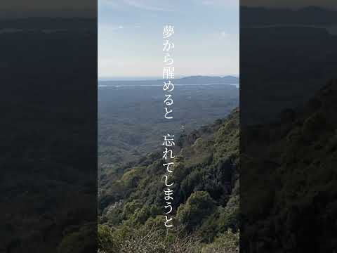 「Regulus」 #くるり #Regulus