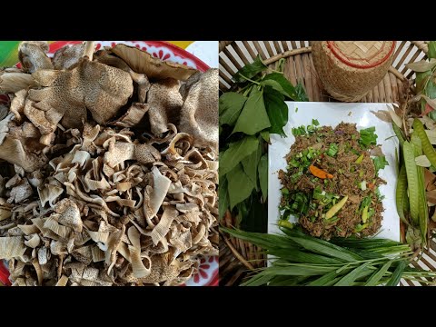มาเบื่งนกนาซุปเห็ดบดกินกับข้าว มาเบื่งนกนาซุปเห็ดบดกินกับข้าว