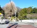 駒塚橋（こまつかばし） 神田川
