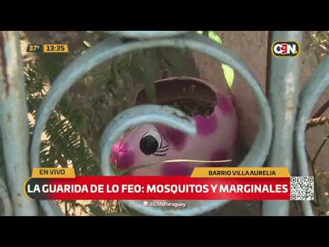 La guarida de todo lo feo: Mosquitos y marginales