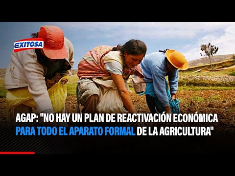 AGAP: No hay un plan de reactivación económica para todo el aparato formal de la agricultura