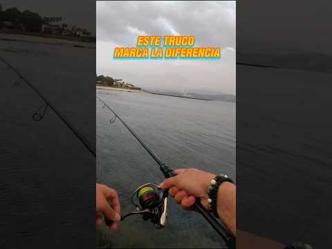 ❌ ¿Te siguen las LUBINAS pero NO ATACAN? Prueba esto 👇#shorts