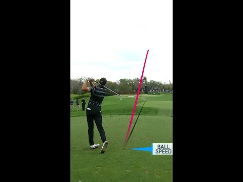 The best aces of the year ??
