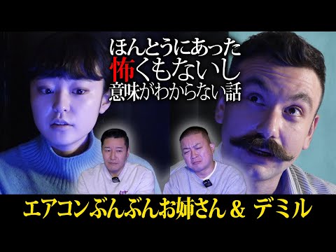 ほんとうにあった怖くもないし意味がわからない話【エアコンぶんぶんお姉さん&デミル】