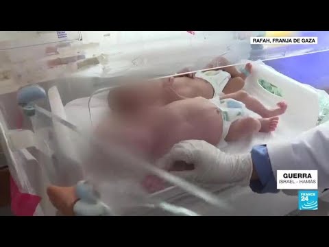 Franja de Gaza: escasez de incubadoras en Rafah amenaza la salud de los recién nacidos